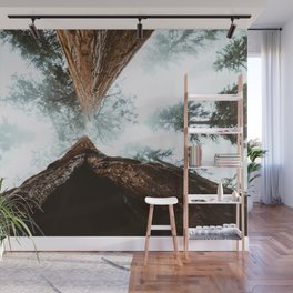 Stand in Awe of the Giant Forest Wall Mural