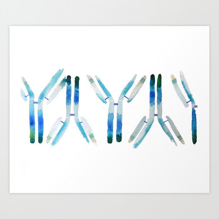 IgG Antibody, Science Art Art Print
