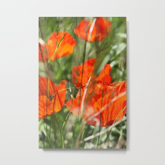 Poppy Metal Print