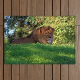 King of the Jungle - Lion deep in thought Outdoor Rug