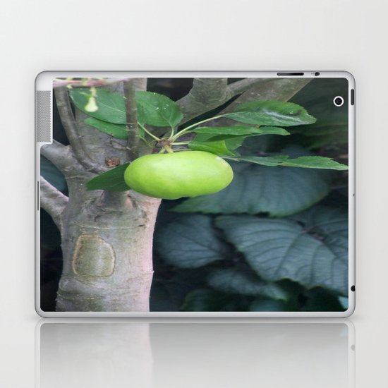 APPLE Laptop & iPad Skin