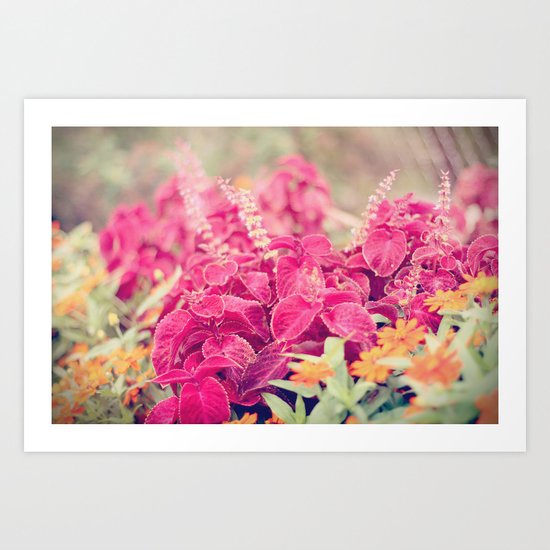 Garden Sunset Art Print