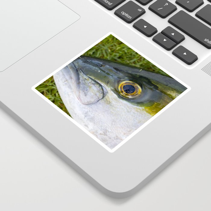 Yellowfin Tuna Closeup Sticker