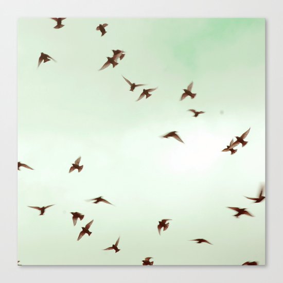Birds Canvas Print