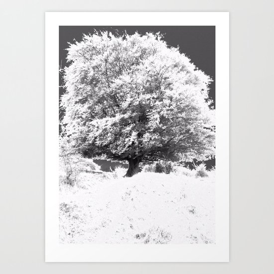 Snow Tree Art Print