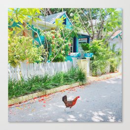 Chicken Crossing Canvas Print