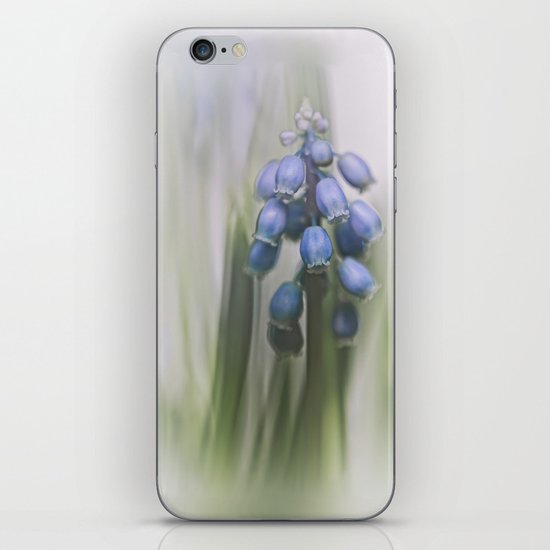 Grape Hyacinth VII iPhone & iPod Skin