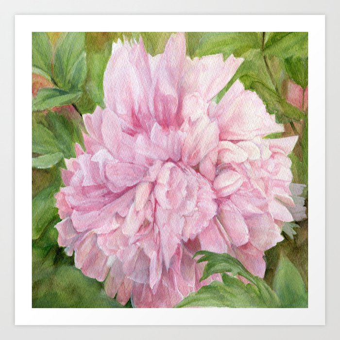Pink Peony Floral Watercolor Original Painting Botanical Garden Flower Detailed Realism Art Print By Betweentheweeds Society6