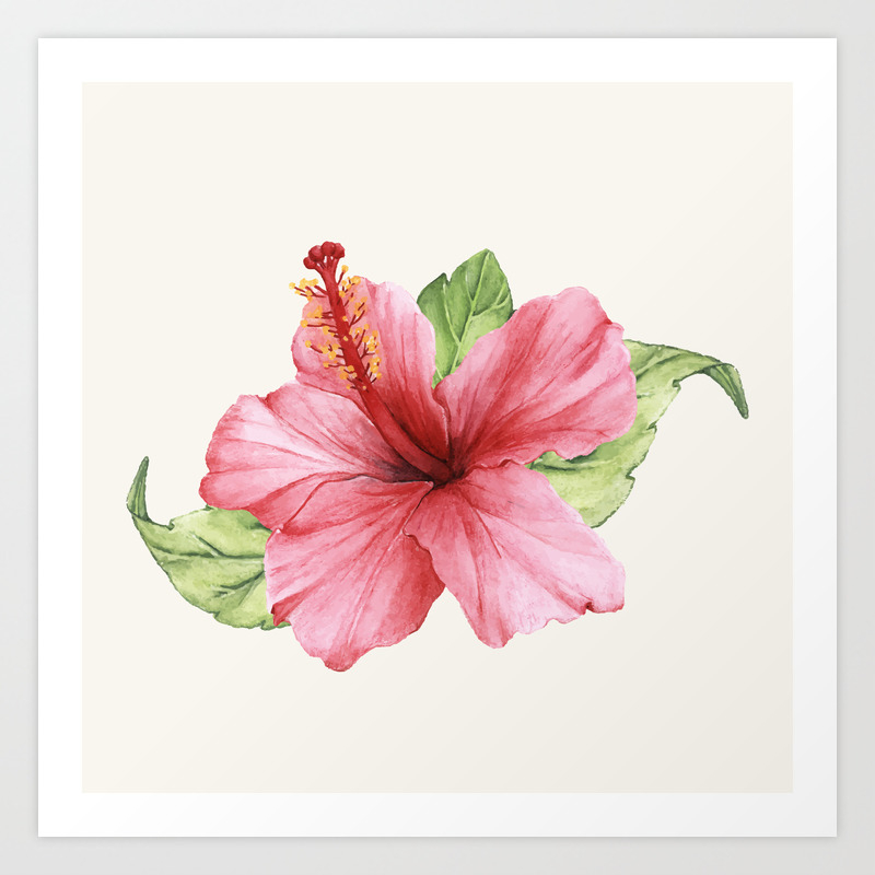 Tropical Pink Hibiscus Flower Art Print By Newburydesigns Society6