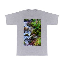 Scottish Rivers Edge in Expressive  T Shirt | Digital Manipulation, Winter, Scottish Highlands, Scenery, Water, Nature Scene, Photo, Nature Image, Color, Digital 
