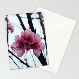 Peach Tree Flower Stationery Card