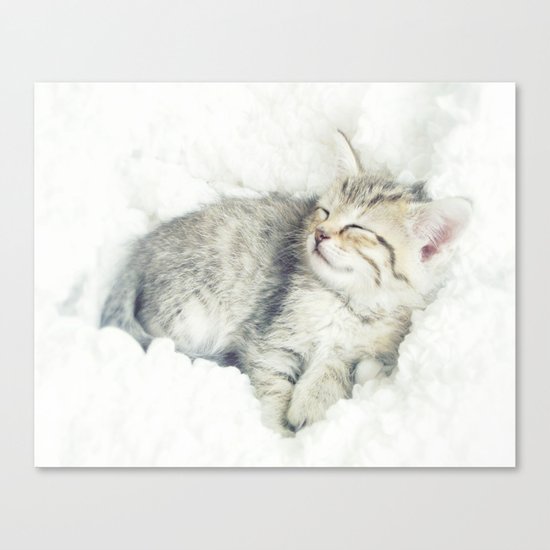 Sweet Dreams Canvas Print