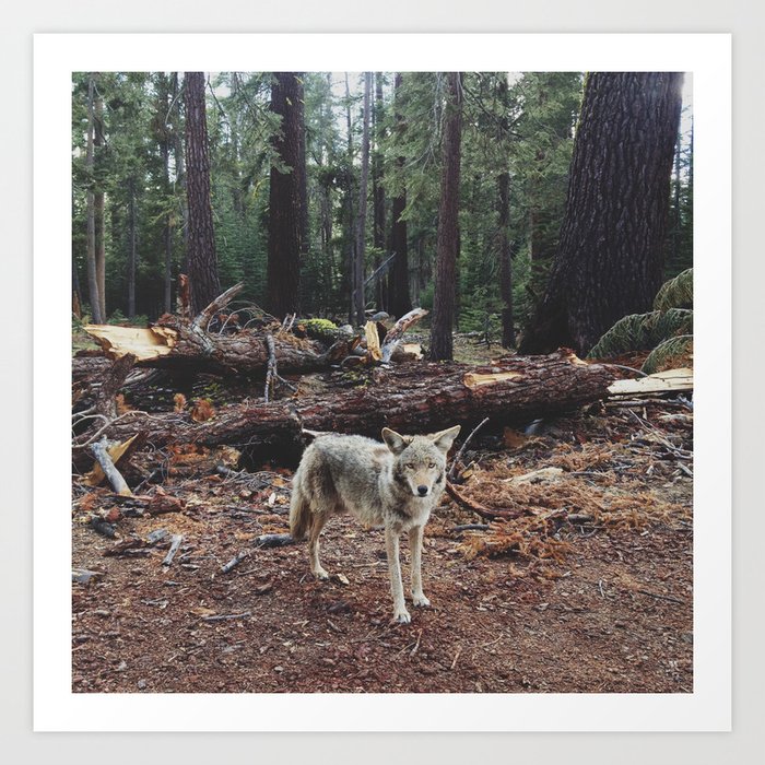 Art Print