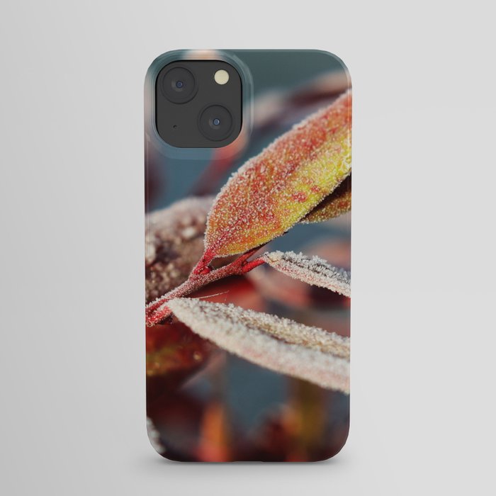 Winter leafs iPhone Case