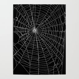 Spider Spider Web Poster
