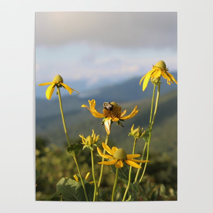 don't worry, bee happy. Poster