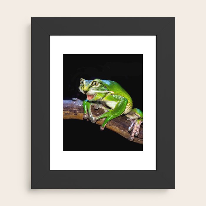 Framed Art Print