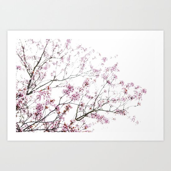 Hanami Art Print