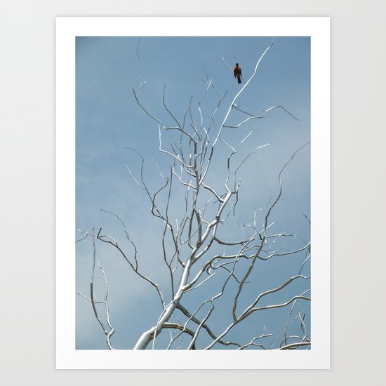 Fly Away Home Art Print