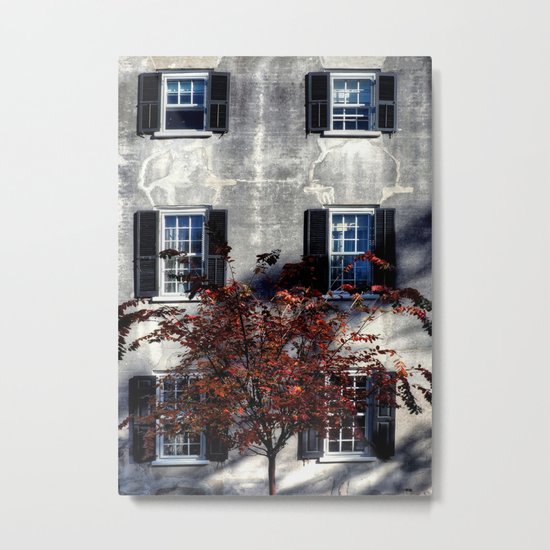 Single House Metal Print