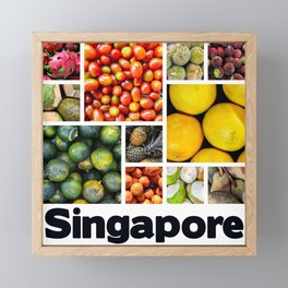 Singapore, Tropical Fruit 4 Framed Mini Art Print