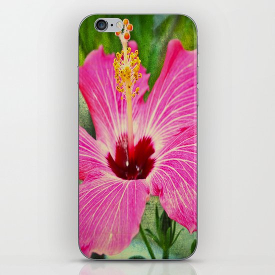 Flower iPhone & iPod Skin