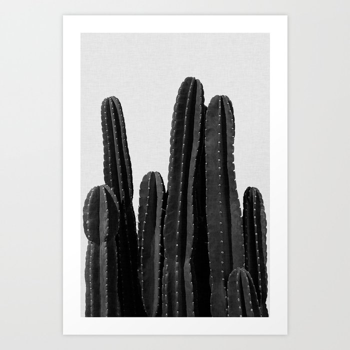 Cactus Black & White Art Print