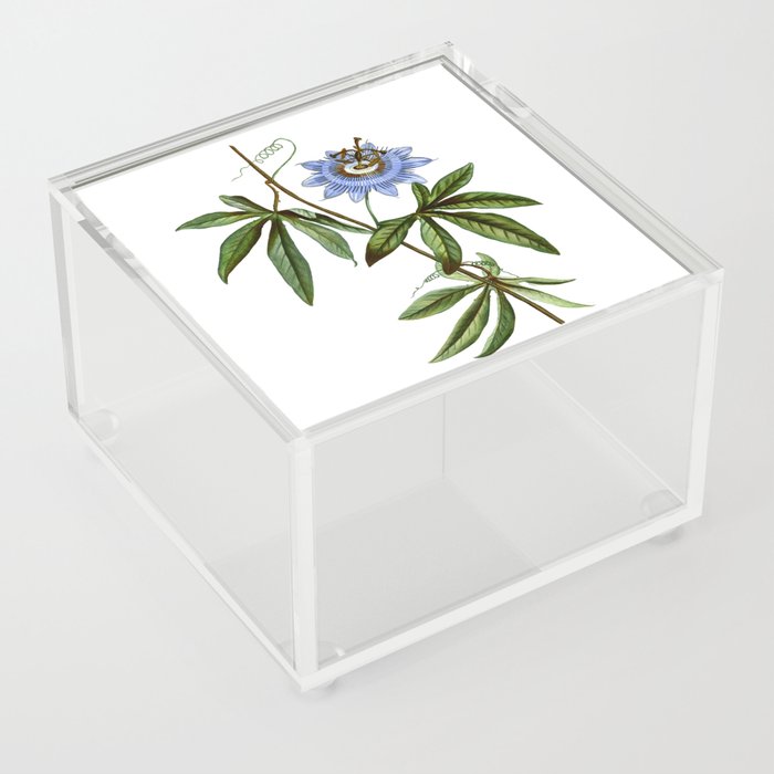 Vintage Blue Passionflower Botanical Illustration on Pure White Acrylic Box