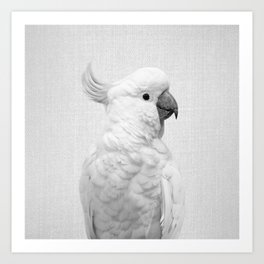 White Cockatoo - Black & White Art Print