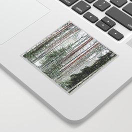 The land of white and green | Winter forest Finland  Sticker