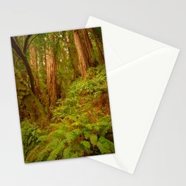 Redwoods Regional II Stationery Cards
