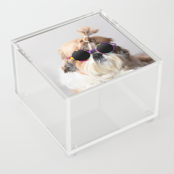 Cool Shih Tzu dog with sunglasses Acrylic Box