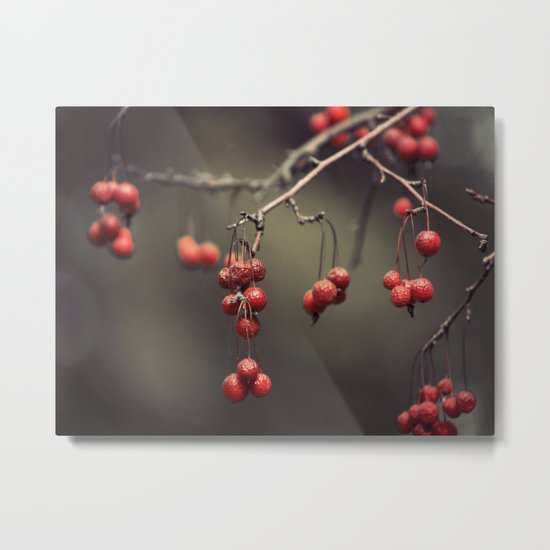 almost winter Metal Print
