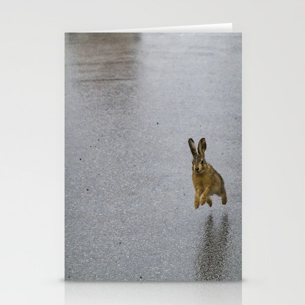 Hare jumping Stationery Cards