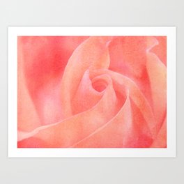 Coral Pink Rose Floral Photography Art Print
