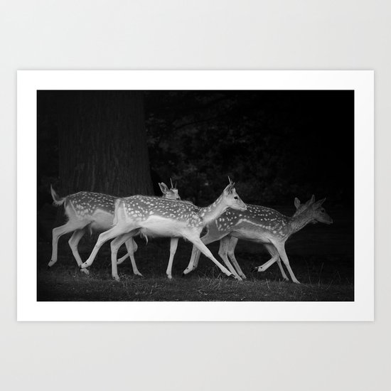 Last States Of Freedom Art Print