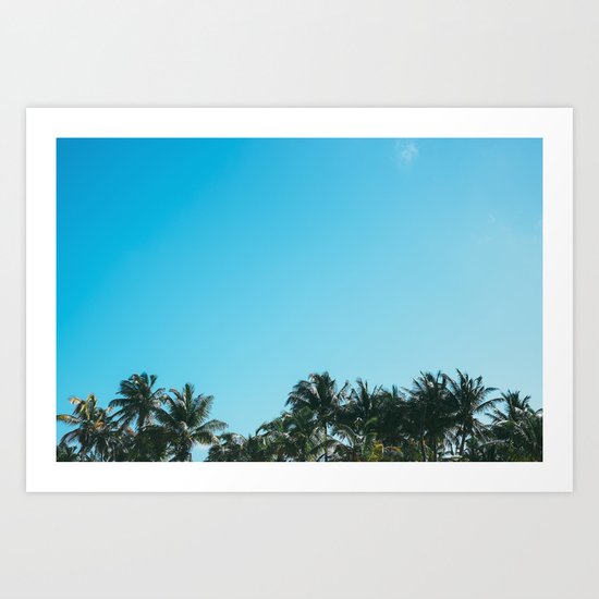 Palm Trees Art Print