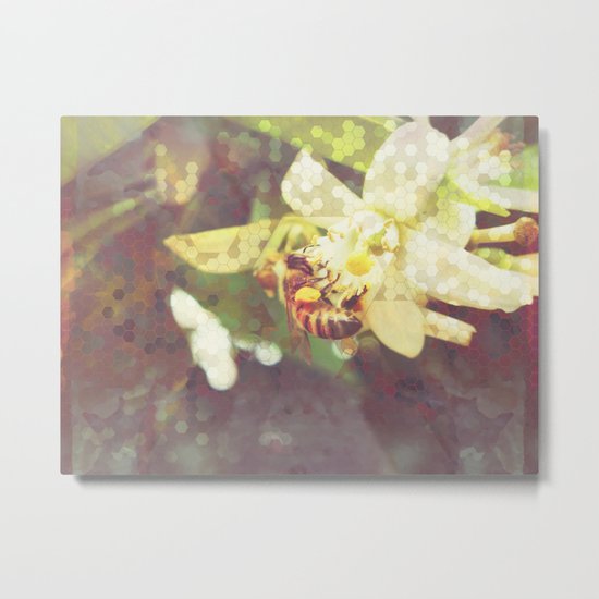 Honey Bee: Pearl Metal Print