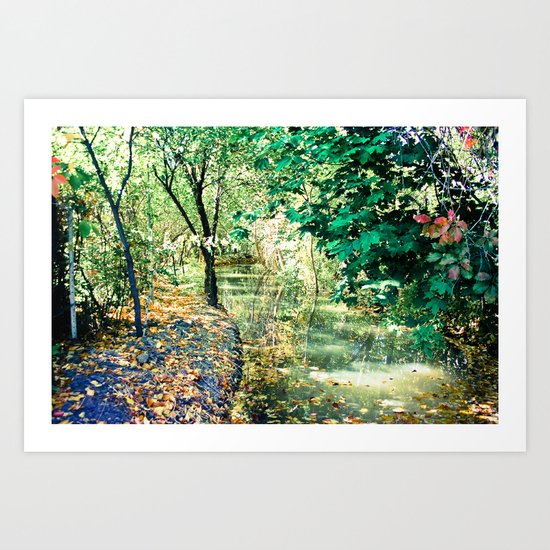 Hidden Autumn Creek Art Print