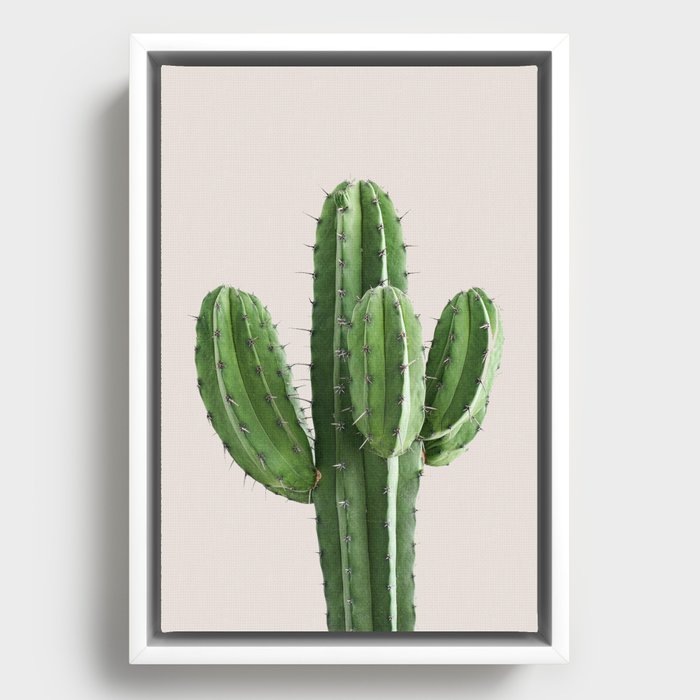 Framed Canvas
