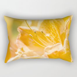 Inner Beauty Rectangular Pillow
