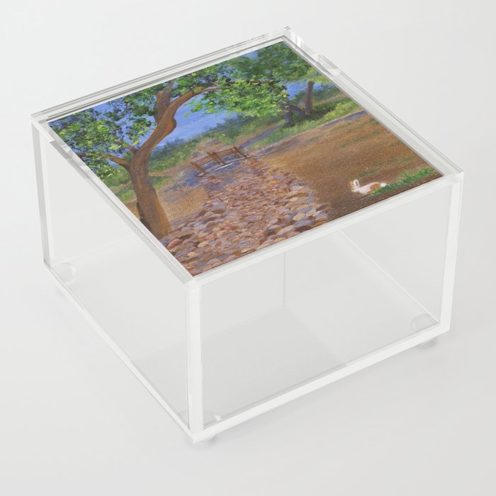 Arizona River Rock Acrylic Box