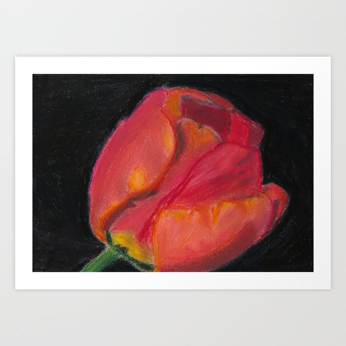 Holland Hand Drawn Oil Pastel Tulip Art Print