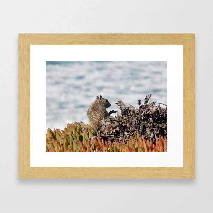 Little squirrel Framed Art Print