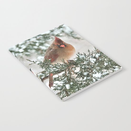 Are You My Mama? Notebook