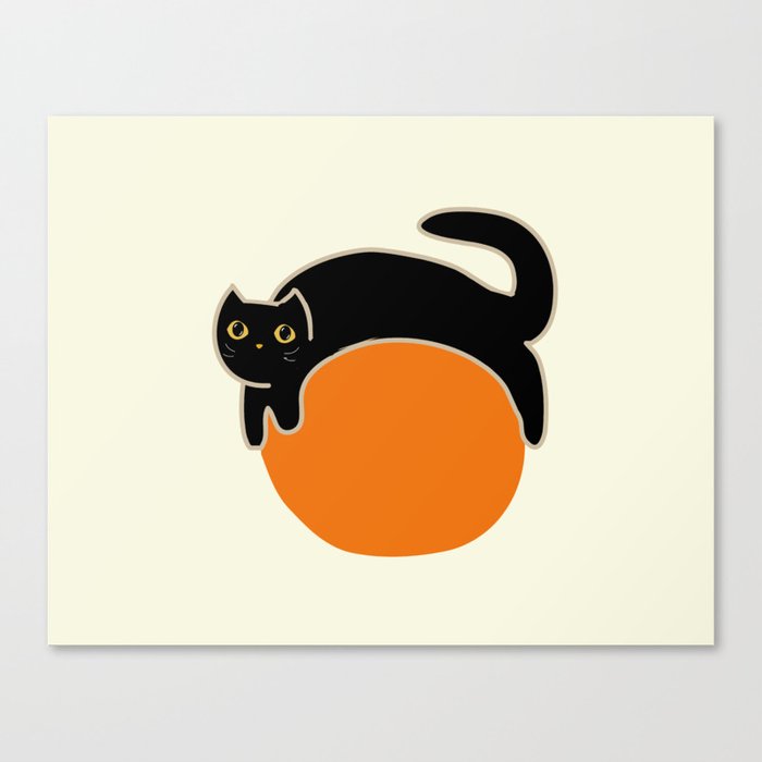Cat on ball new arrivals