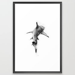 Shark II Framed Art Print