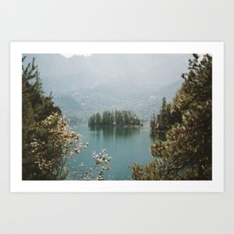 Forest Island in the Mountain Lake Art Print