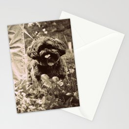 Man's Best Friend Stationery Cards