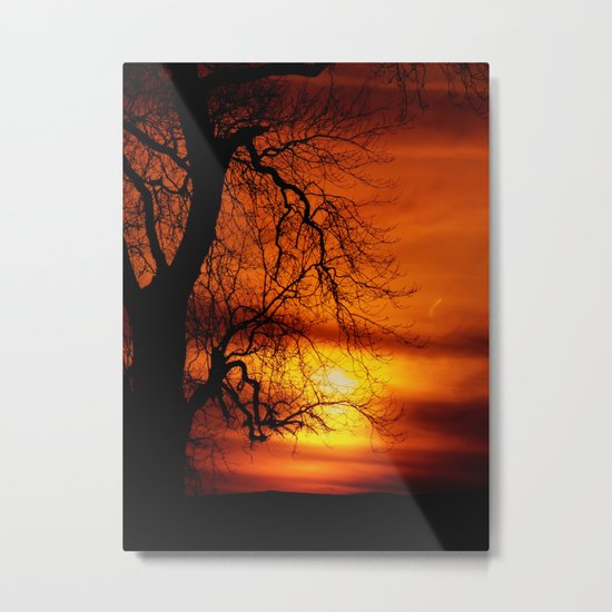 Reaching For The Light Metal Print